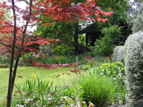 Landscape Design Melbourne | Sandra McMahon Gardenscape Design | sequential planting is the key to year-round interest in a garden.