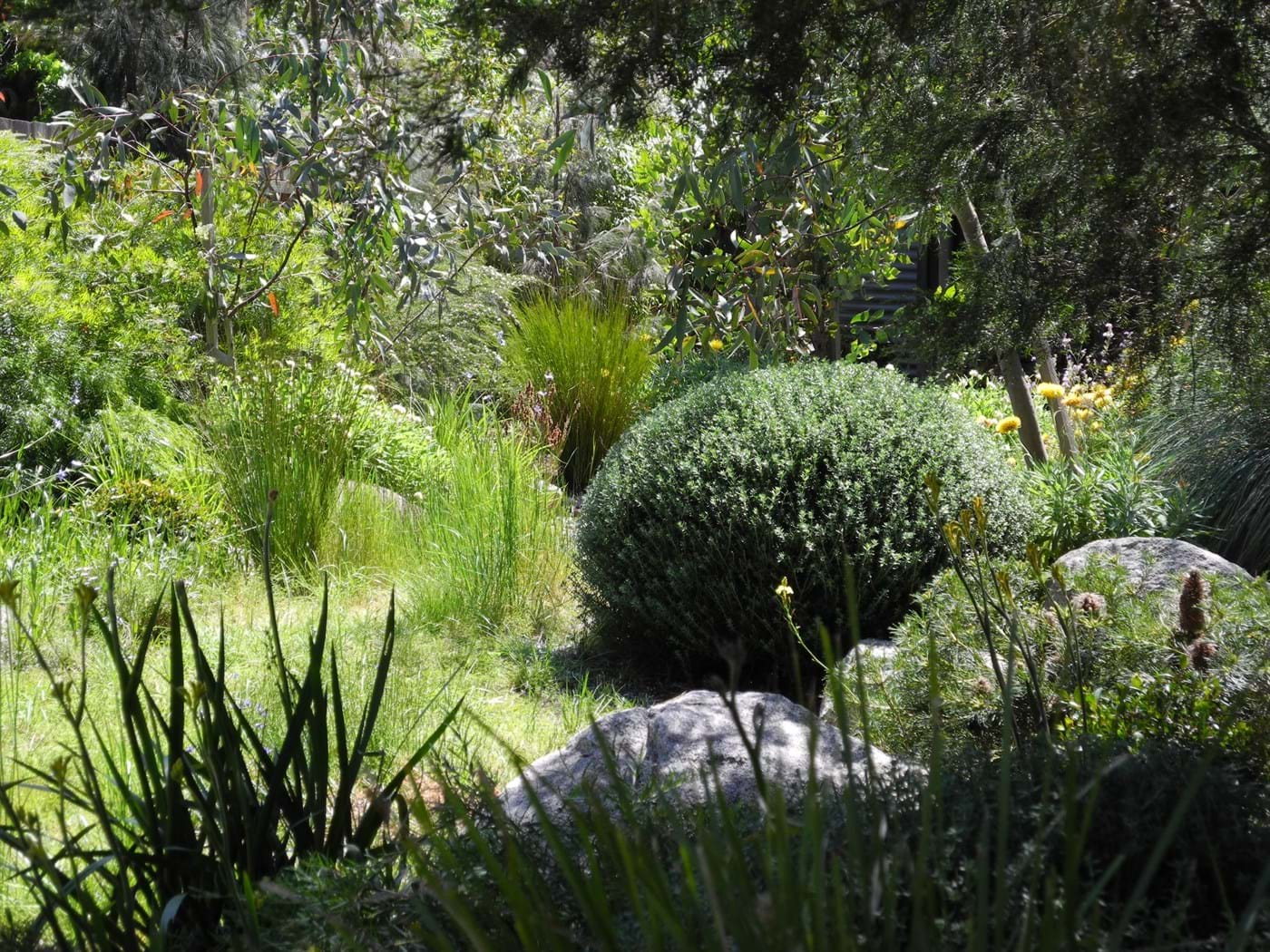 Landscape Design Melbourne | Sandra McMahon Gardenscape Design