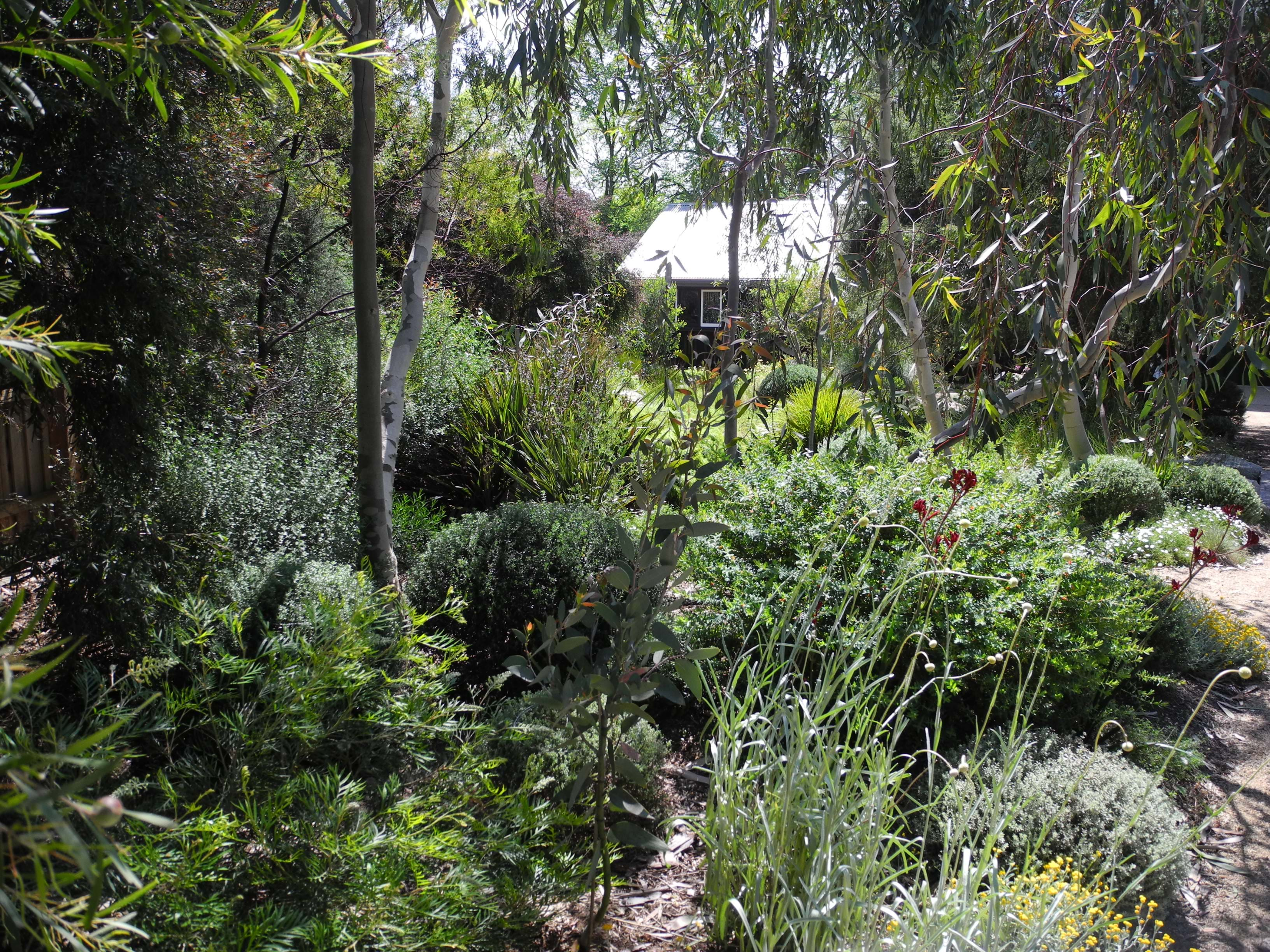 Landscape Design Melbourne | Sandra McMahon Gardenscape Design